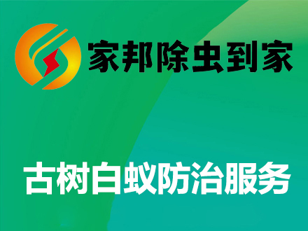 古樹白蟻防治